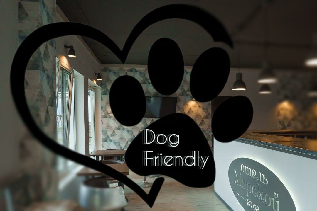 Гостиница Морской Новороссийск-40